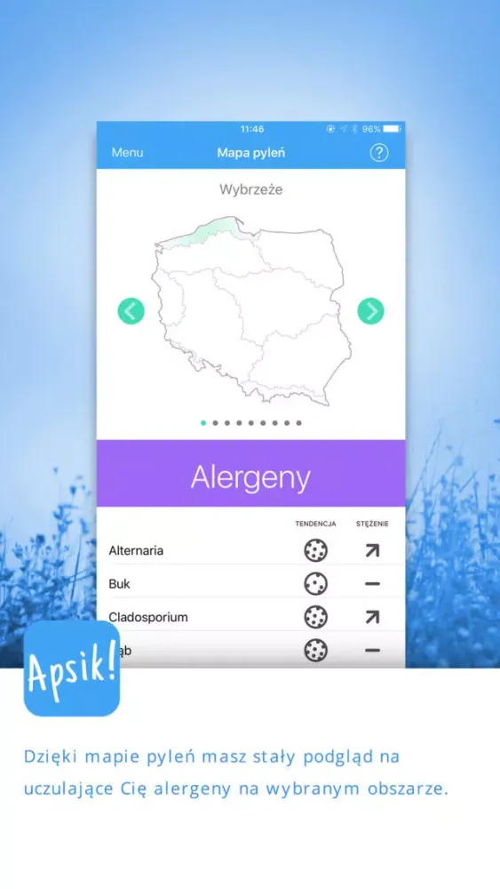 Zrzuty ekranu Apsik!