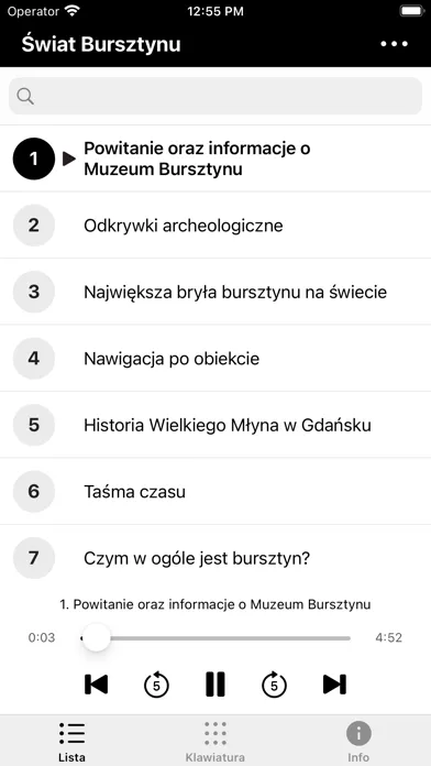 Capturas de tela do Muzeum Bursztynu