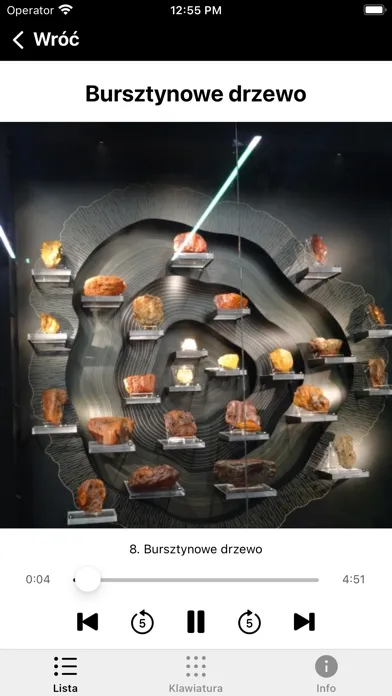 Capturas de tela do Muzeum Bursztynu
