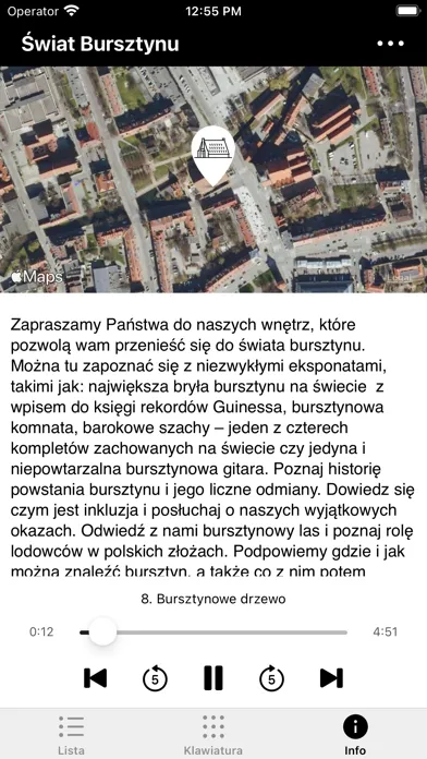 Capturas de tela do Muzeum Bursztynu