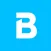 Baid — Asystent budowy