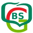 BSGrybow mobileNet BSGrybow mobileNet