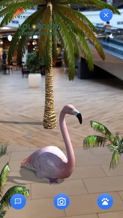 Kolorowe Centrum Świata Ekran Görüntüleri