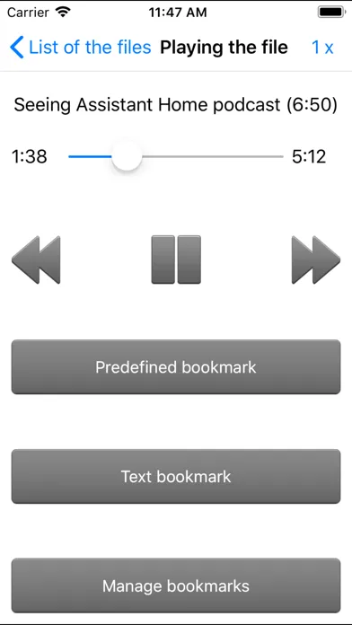 Seeing Assistant Audio سکرین شاٹس
