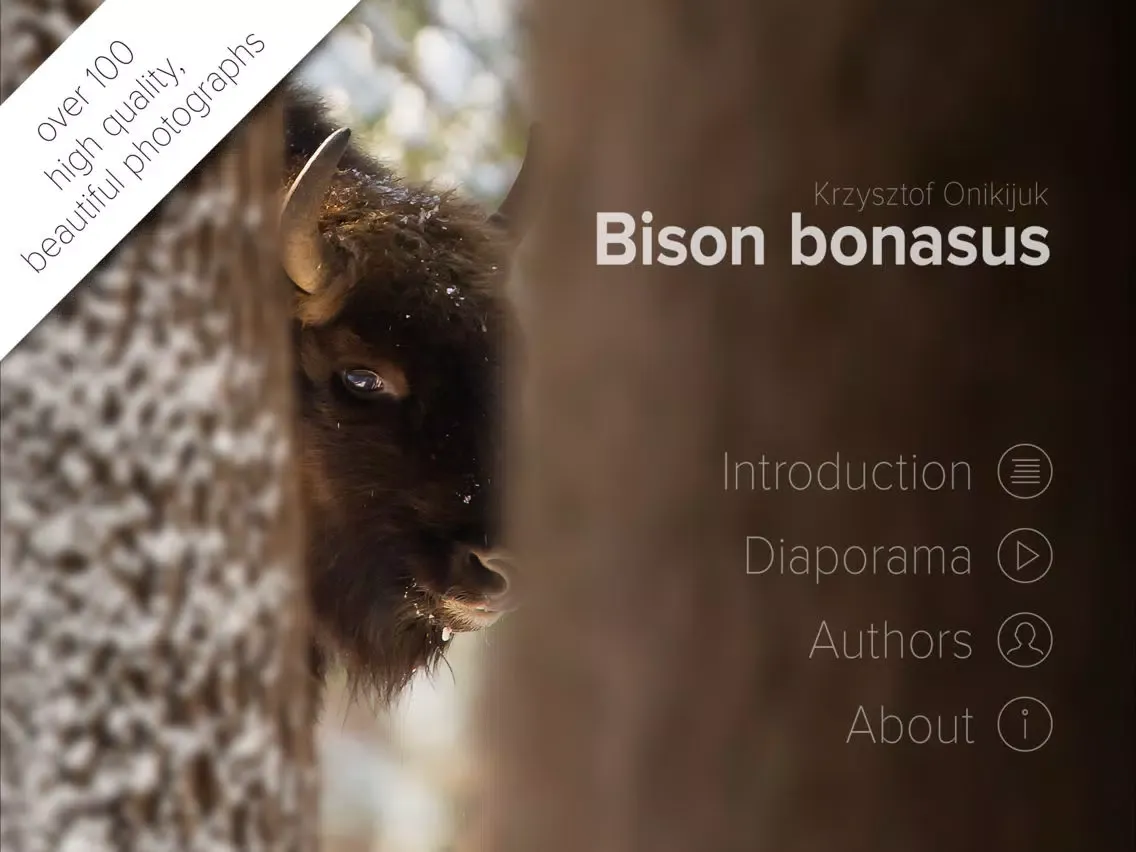 Captures d'écran de Bison bonasus iPad 