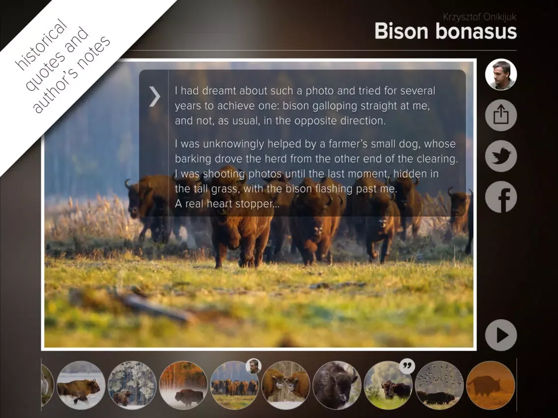 Captures d'écran de Bison bonasus iPad 