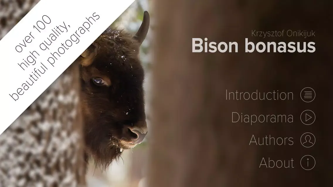 Captures d'écran de Bison bonasus