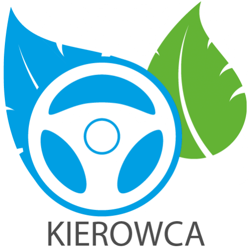 Ecocar driver