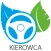 Ecocar driver