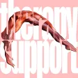 Therapy Support