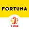 Fortuna 1 Liga