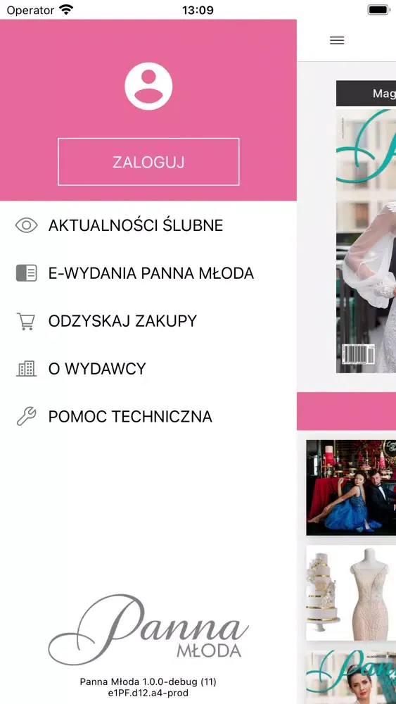 Capturas de tela do Panna Młoda