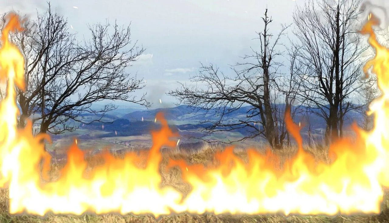 Magic Flames سکرین شاٹس