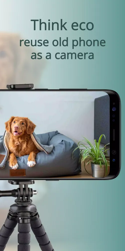 AnyPet Monitor Screenshots