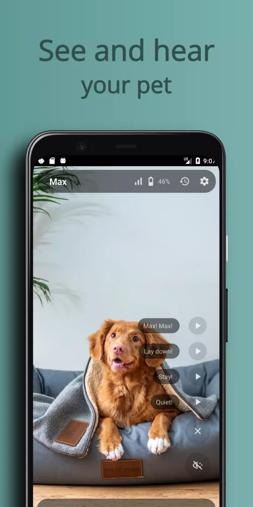 AnyPet Monitor Screenshots