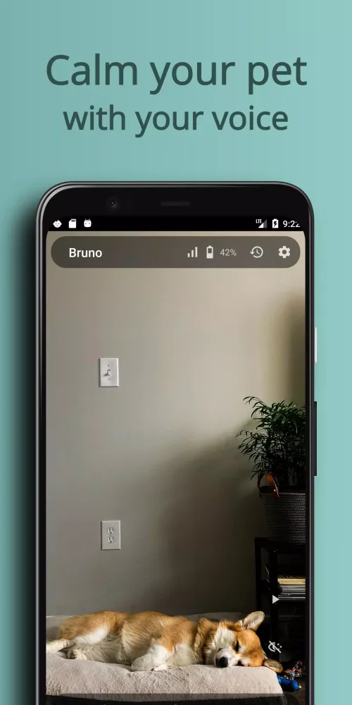 AnyPet Monitor Screenshots