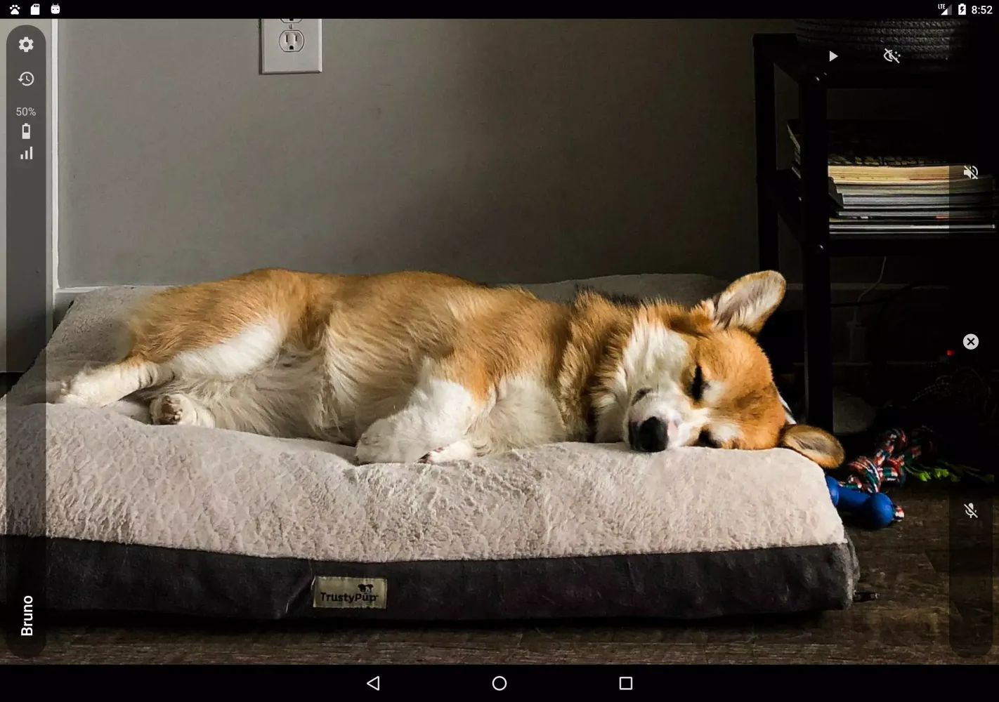 AnyPet Monitor Screenshots