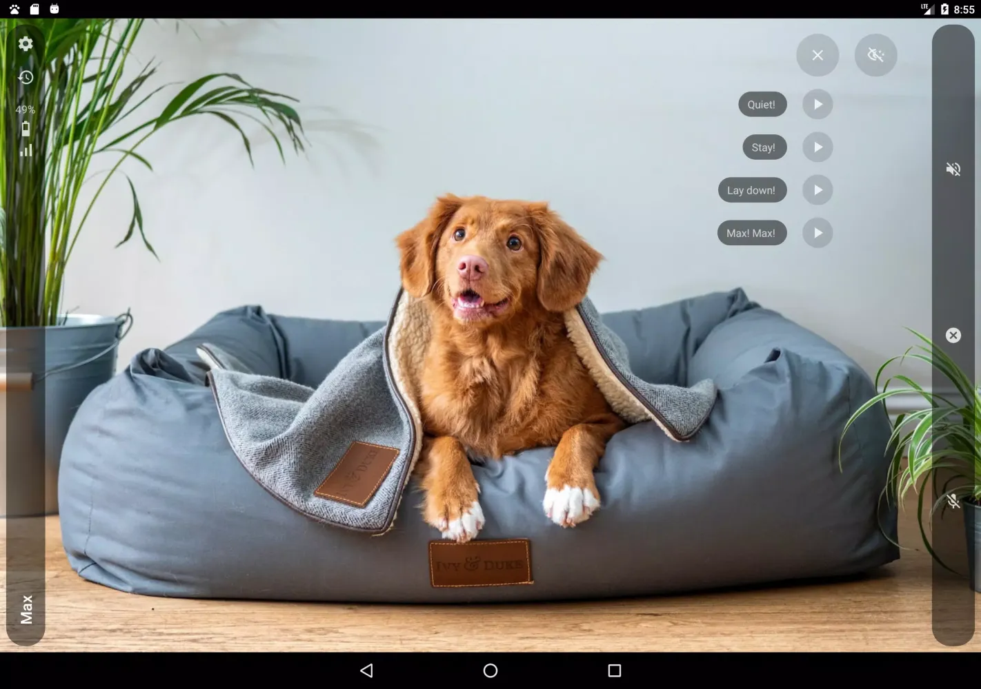 AnyPet Monitor Screenshots