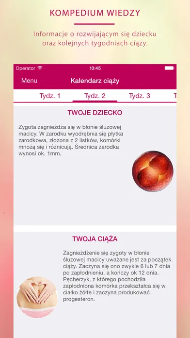 My pregnancy - Moja ciąża Ekran Görüntüleri