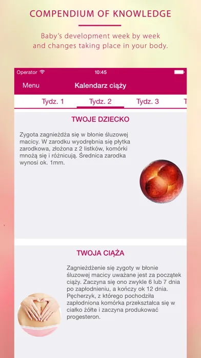 My pregnancy - Moja ciąża Ekran Görüntüleri