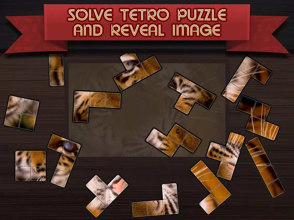 Tangkapan skrin Tetro Puzzle iPad 