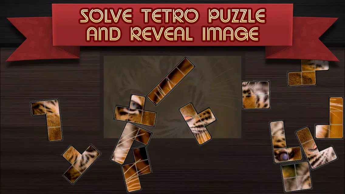 Tangkapan skrin Tetro Puzzle