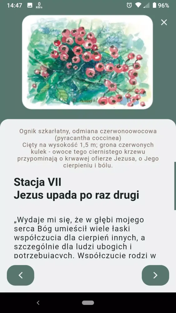 kompas.sds Ekran Görüntüleri