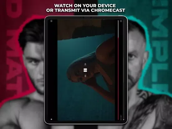Скриншоты KINGPYN Player iPad 