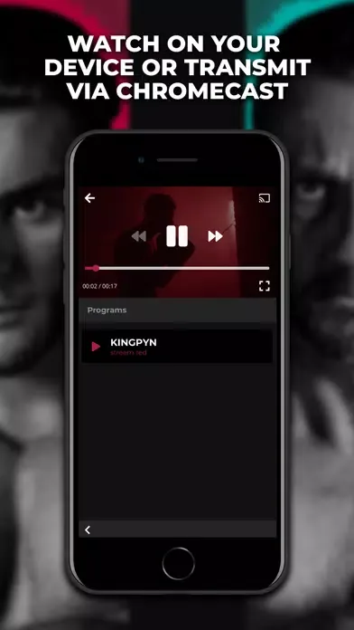 Скриншоты KINGPYN Player