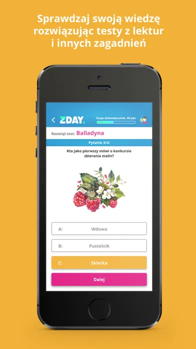 Ảnh chụp màn hình của ZDAY