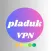 PLADUK VPN