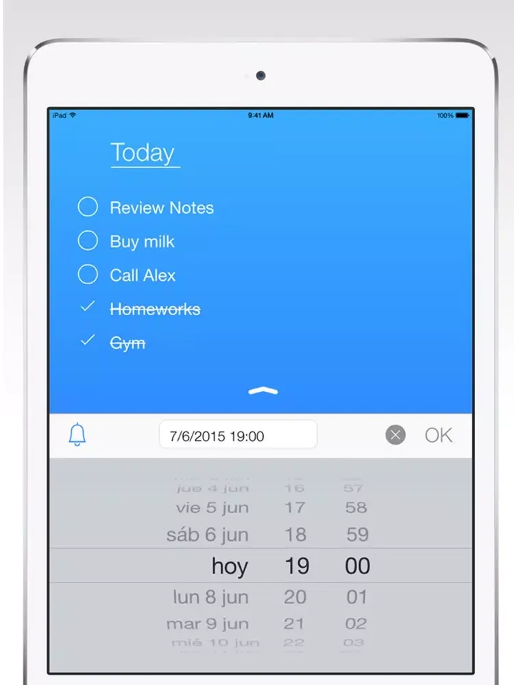 Capturas de tela do Mr. Plan.New Year's Resolution iPad 