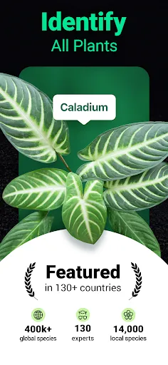 Plantum - Plant Identifier Screenshots