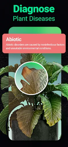 Plantum - Plant Identifier Screenshots