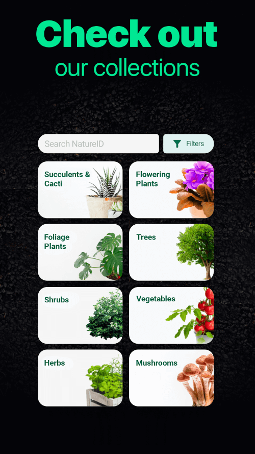 NatureID-screenshot-6