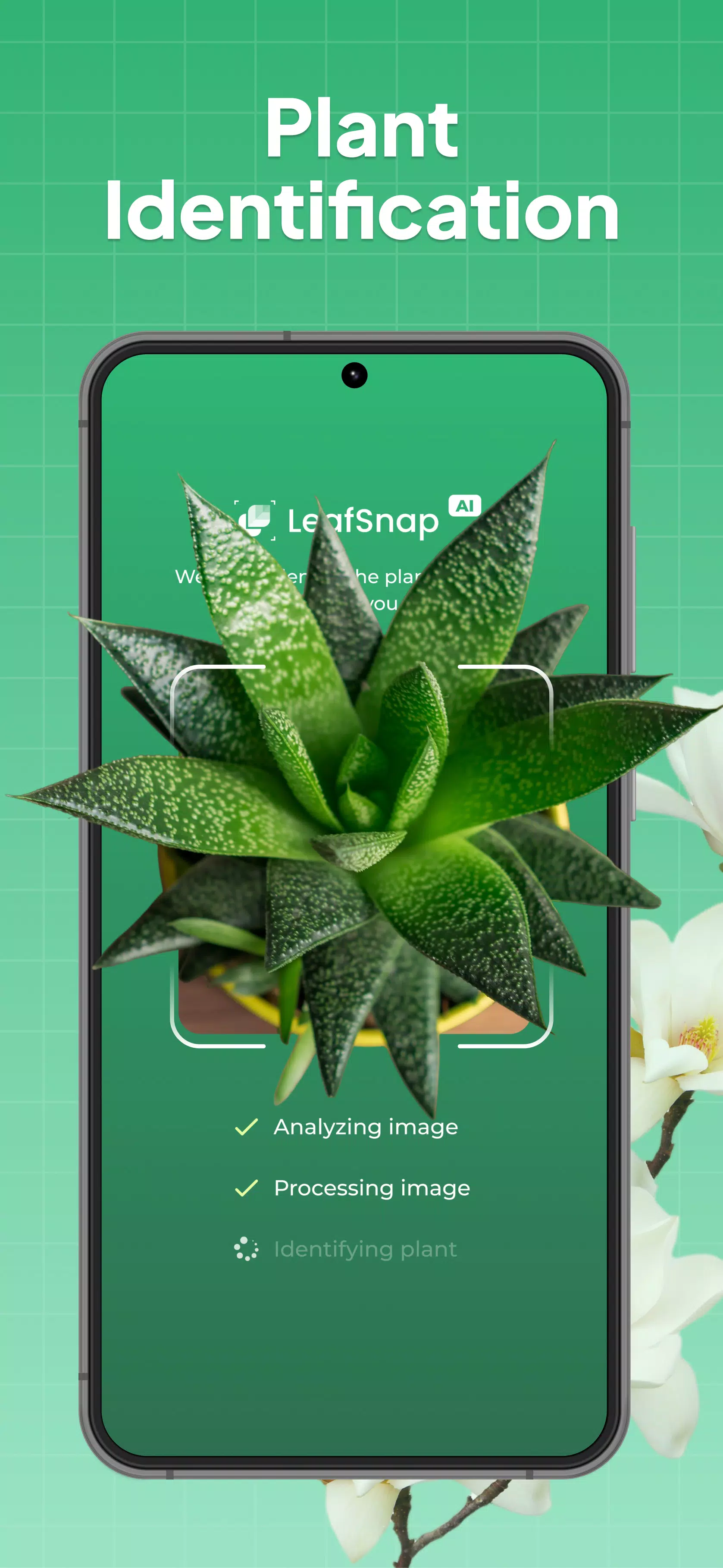 LeafSnap Screenshots1