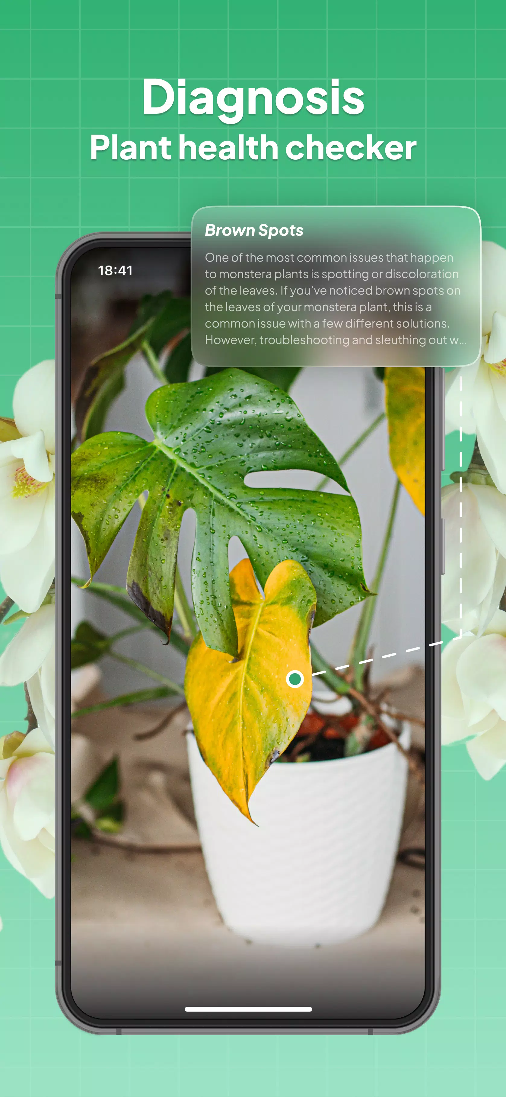 LeafSnap Screenshots3