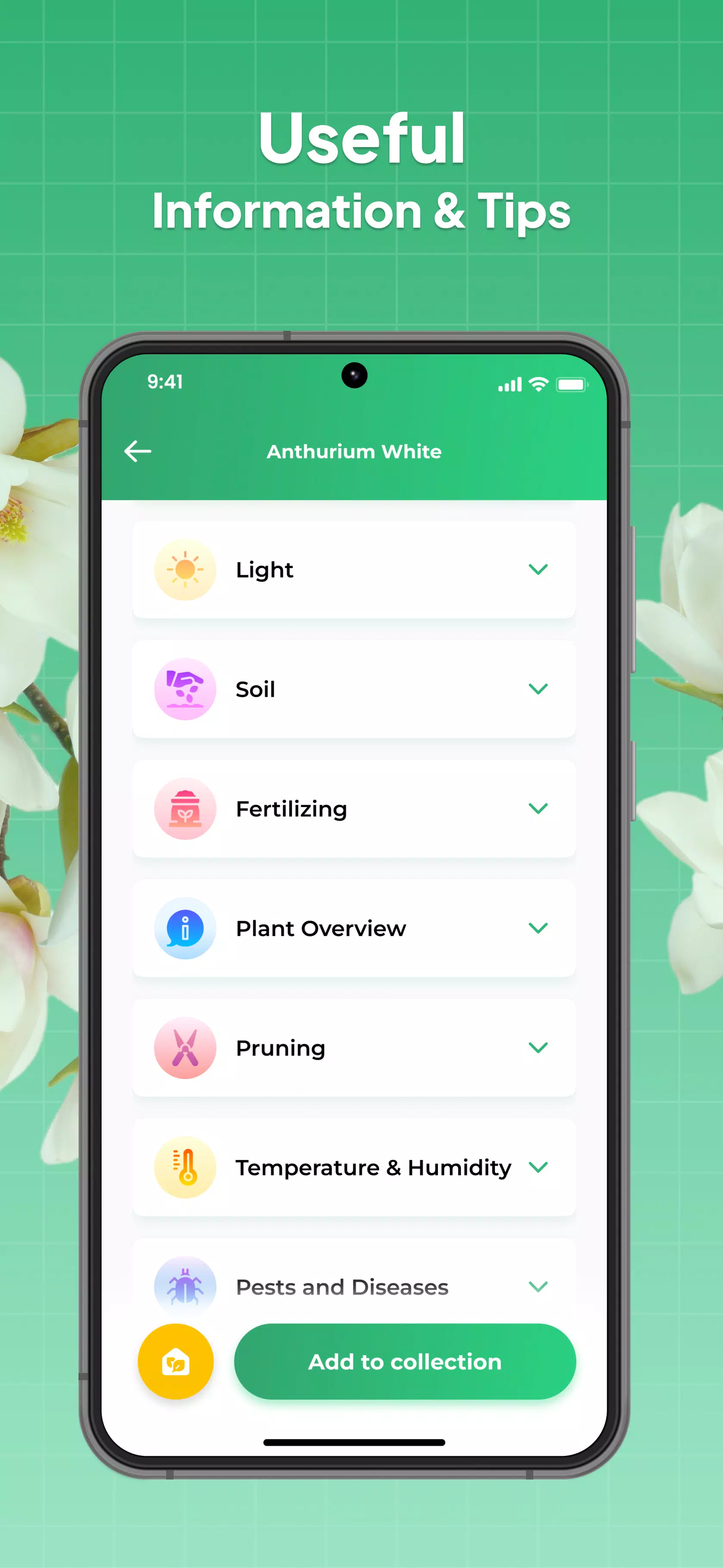 LeafSnap Screenshots4