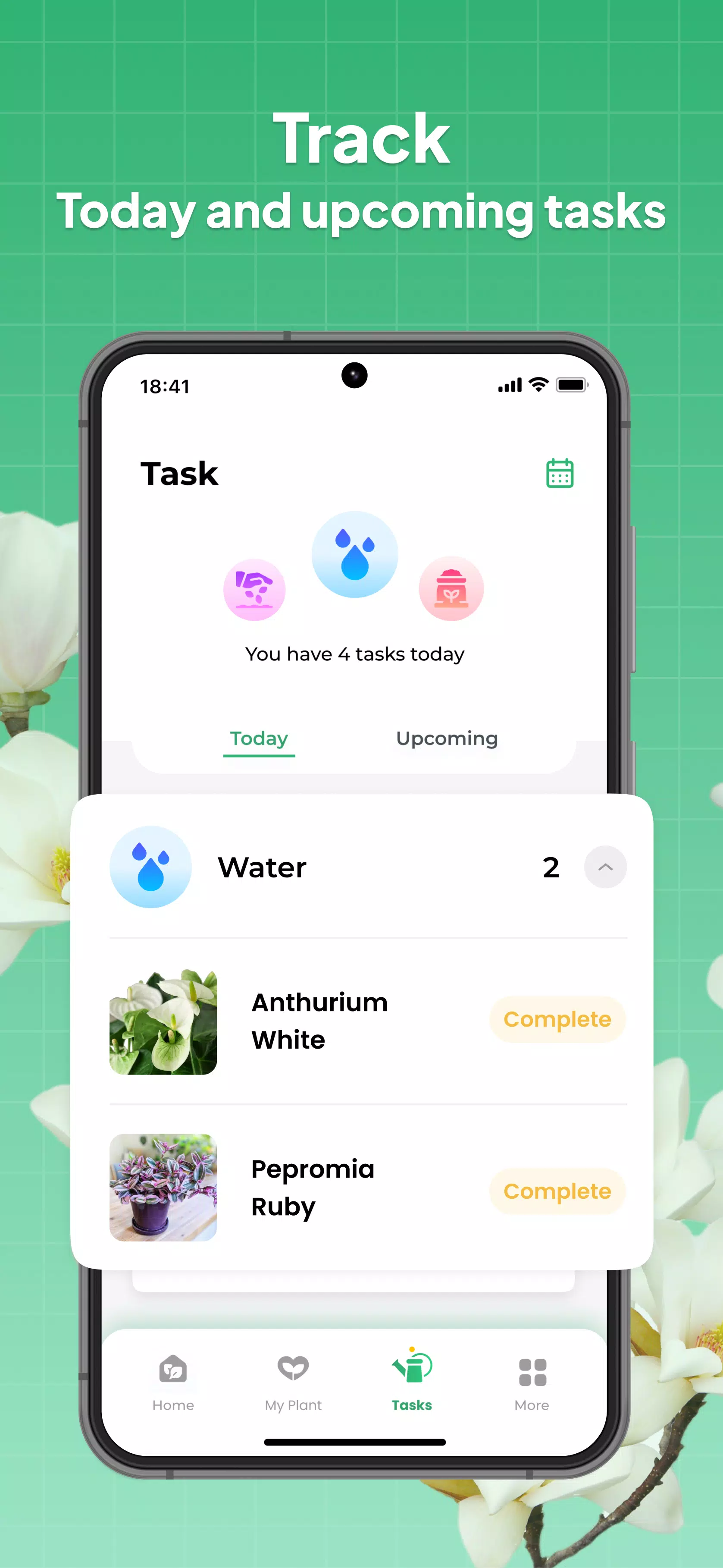LeafSnap Screenshots5