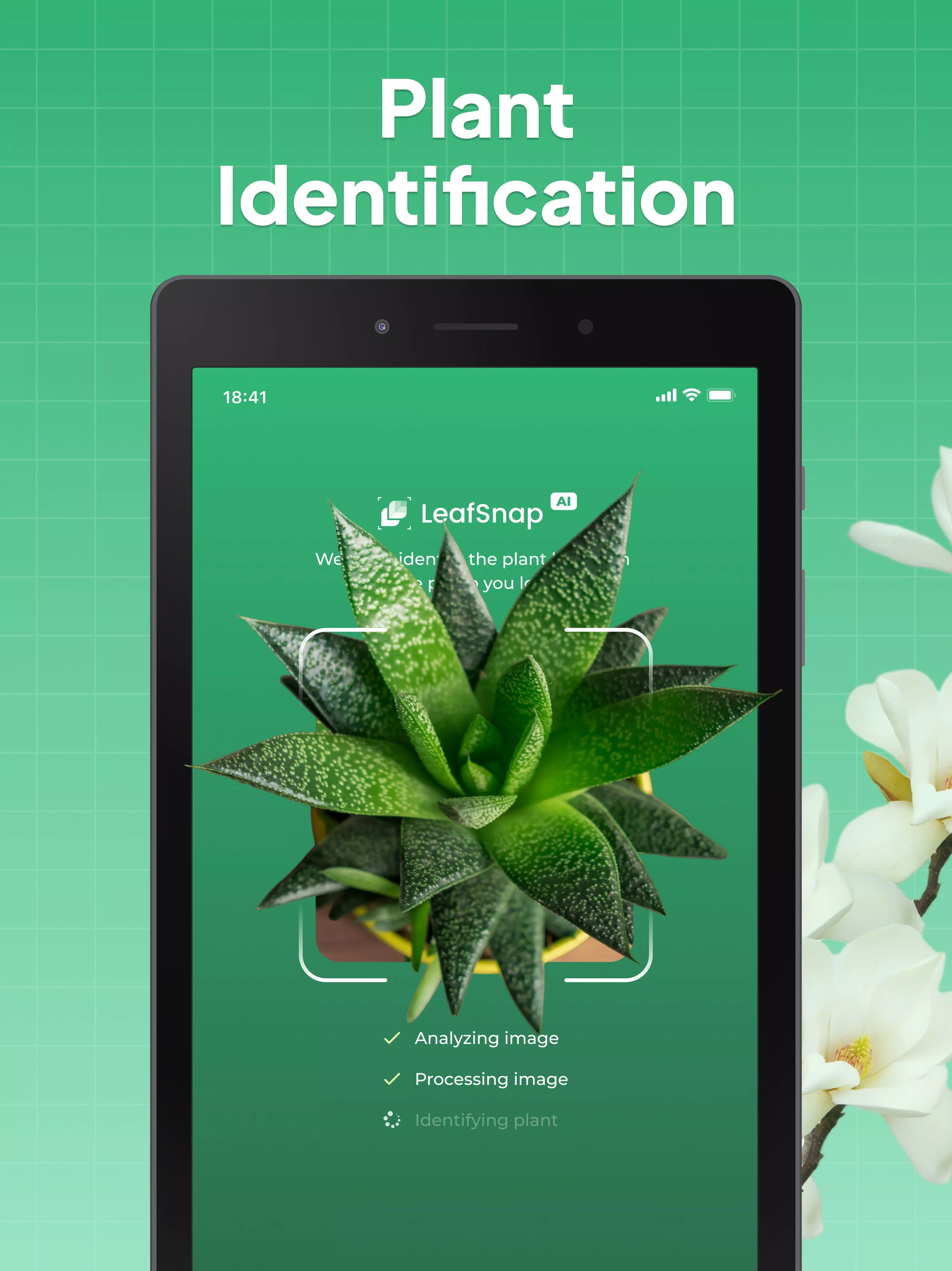 LeafSnap Screenshots7