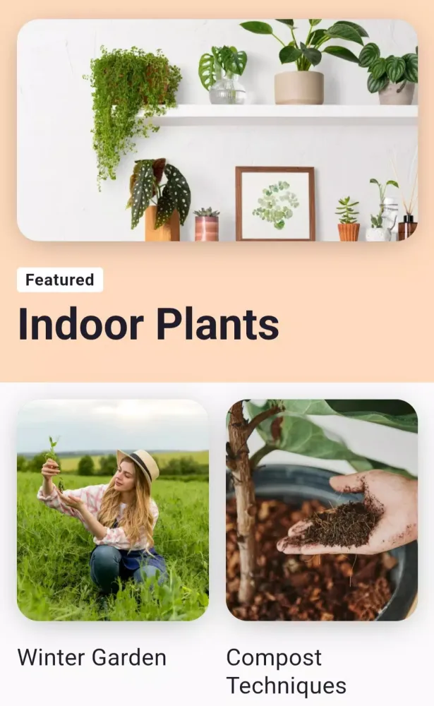Plant Identifier App应用截图