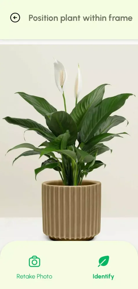 Plant Identifier App应用截图