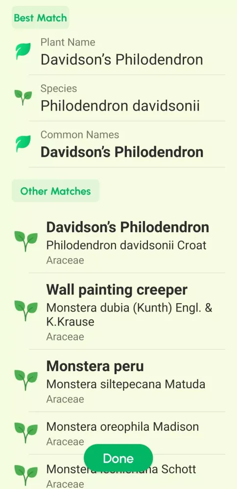 Plant Identifier App应用截图