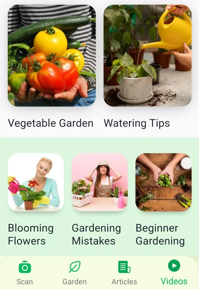Plant Identifier App应用截图