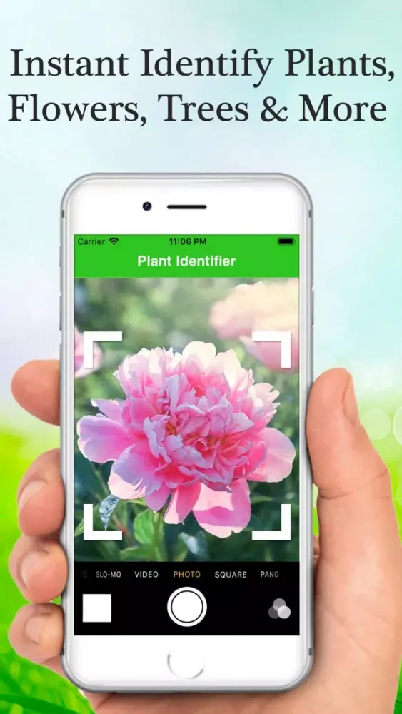 Скриншоты Flower & Plant Identification
