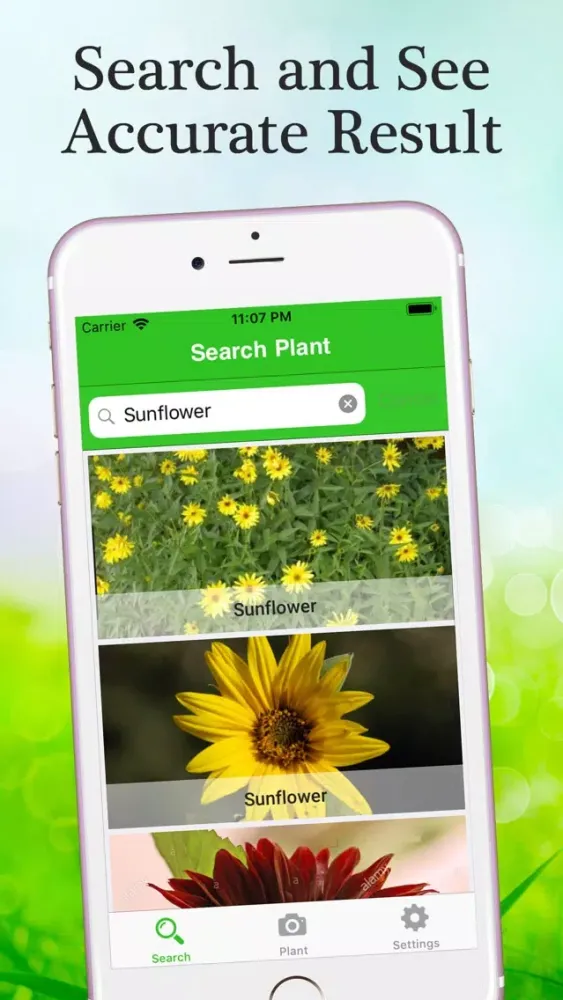 Скриншоты Flower & Plant Identification