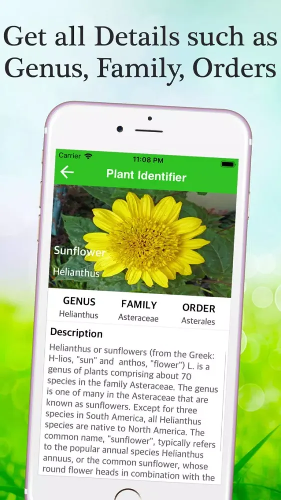 Скриншоты Flower & Plant Identification