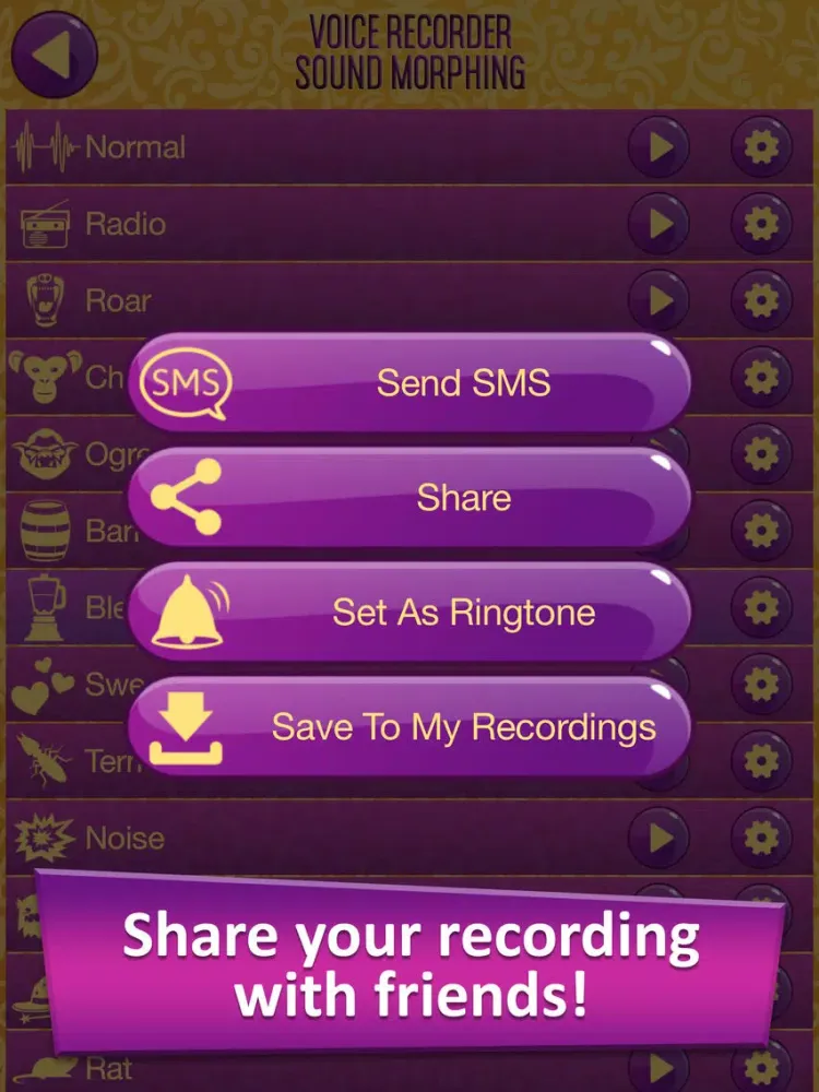 Voice Recorder Sound Morphing & Audio Effects - Transform your Speech with Vocal Changer iPad  স্ক্রিনশট