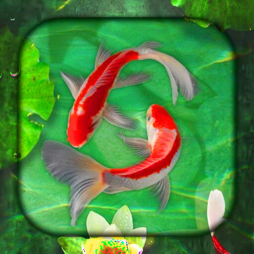 Koi Fish Live Wallpaper