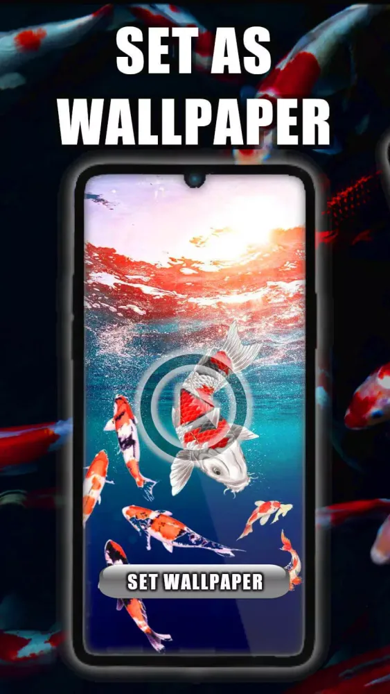 Koi Fish Live Wallpaper應用截圖